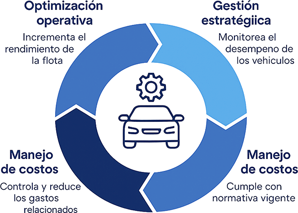 diagrama flota logiserv az